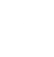 Write Icon 1